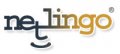NetLingo The Internet Dictionary