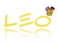 LEO German-English Dictionary